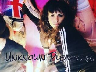 Unknown_Pleasures