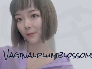 Vaginalplumblossom
