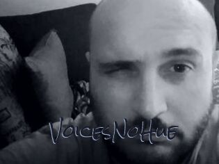 VoicesNoHue