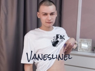 Vaneslinel