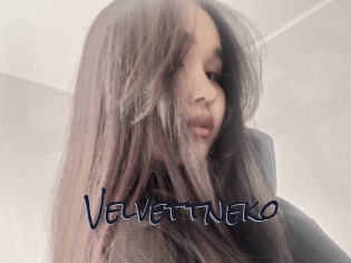 Velvettneko