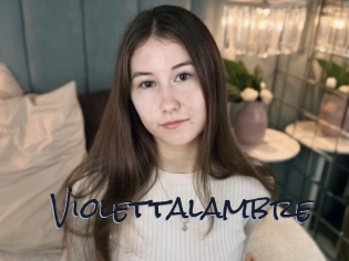 Violettalambre