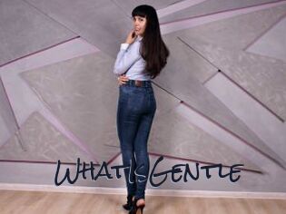WhatIsGentle