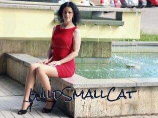 WildSmallCat