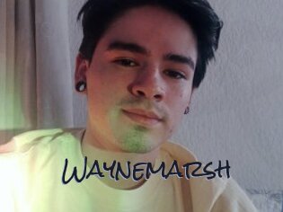 Waynemarsh