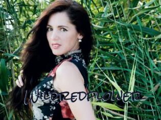 Wildredflower