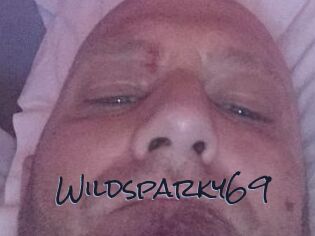 Wildsparky69