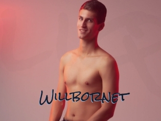 willbornet Liquisexxx