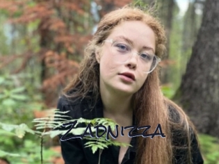 Zadnizza
